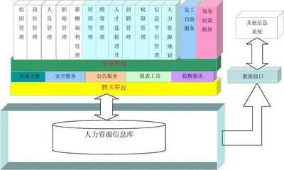 大任人力资源管理系统