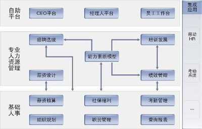 大任人力资源管理系统