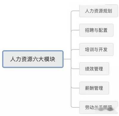 大任人力资源管理系统