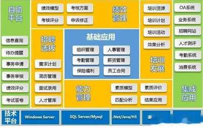 大任人力资源管理系统