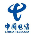 大任人力资源软件 中国电信