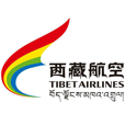 大任人力资源软件 西藏航空
